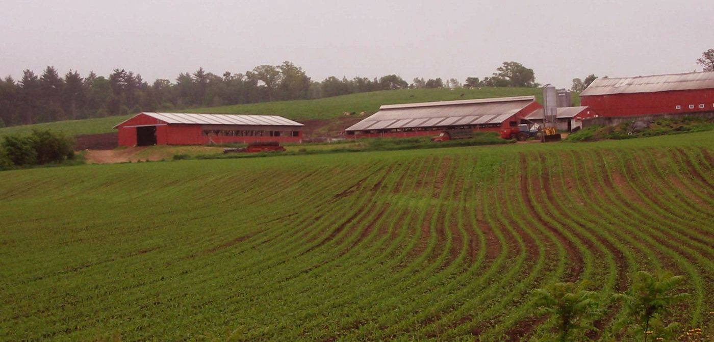 Imbier Farm red barns and rolling fields in New Braintree MA